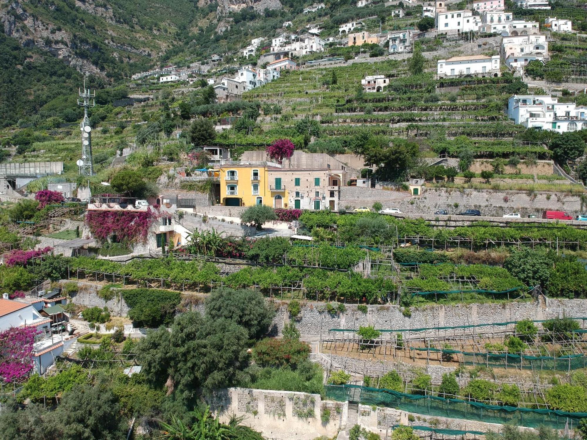 Agriturismo Fuoco D'Amalfi Villa Iazzetta Bagian luar foto
