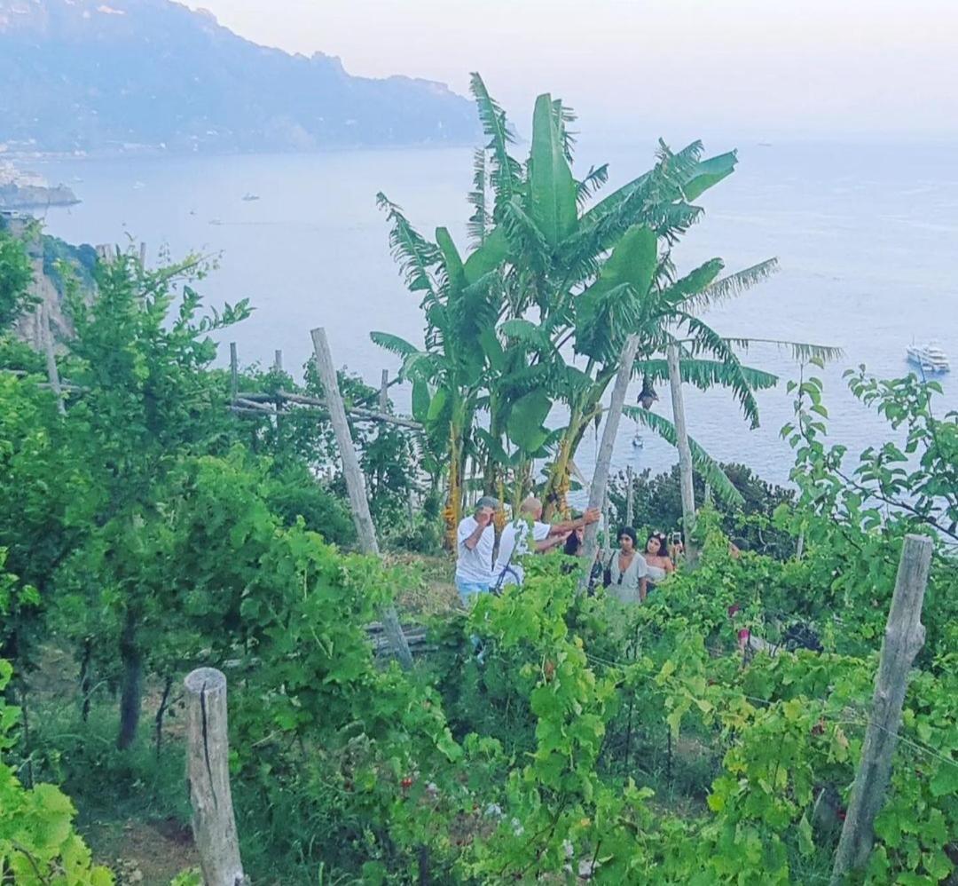 Agriturismo Fuoco D'Amalfi Villa Iazzetta Bagian luar foto